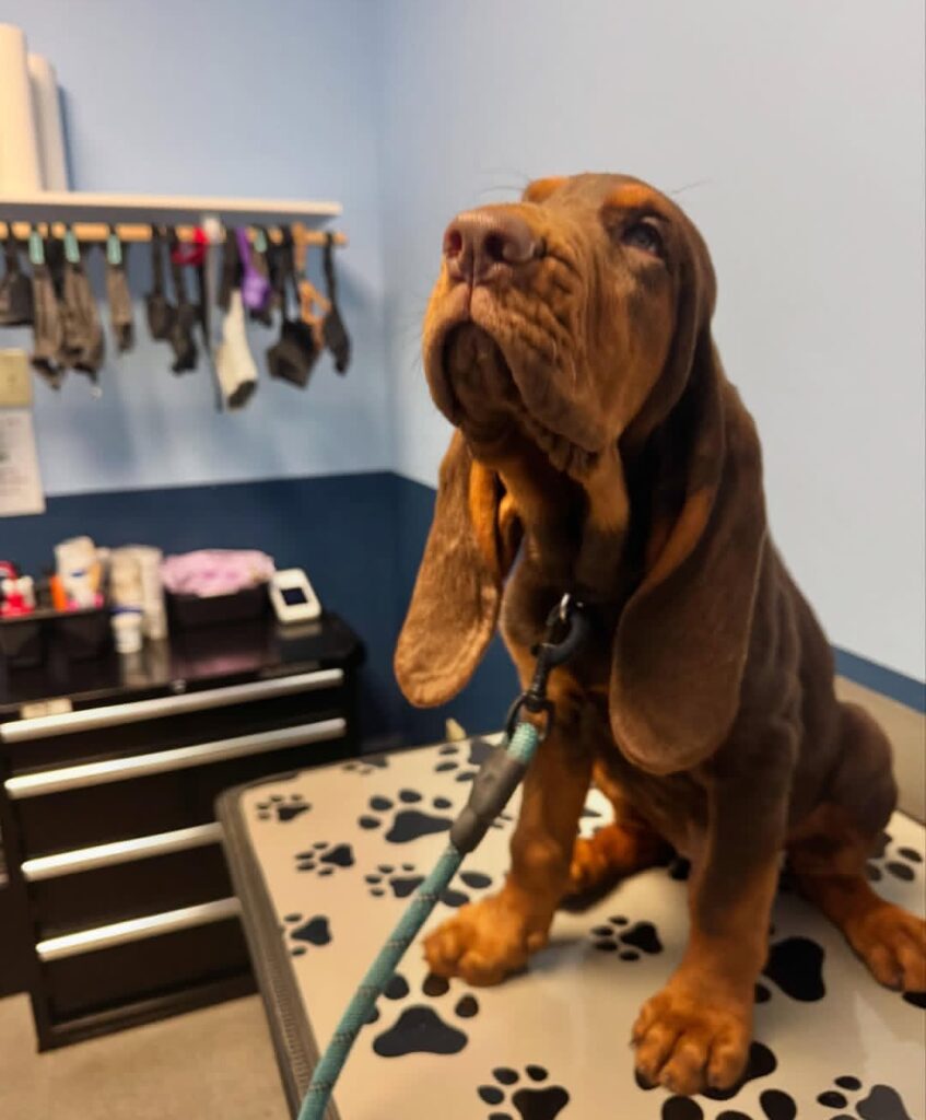 screenshot 20251122 203027